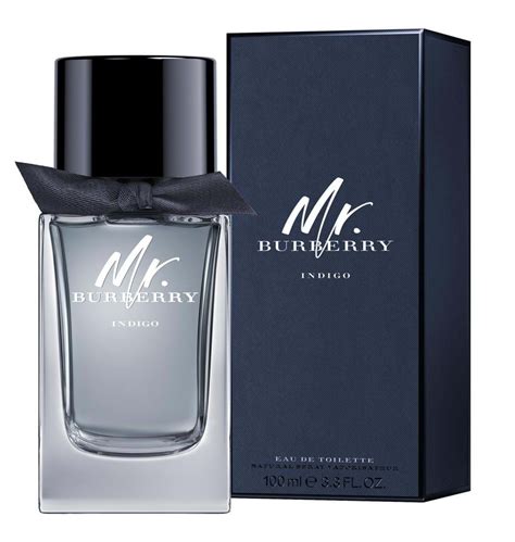 mr burberry indigo fragrantica.